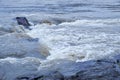 Altai river Katun in Spring season. Boulders in river rapids