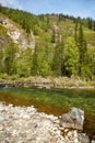 Altai river Kumir Royalty Free Stock Photo