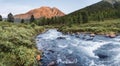 rough mountain river surrounded by mountains and taiga forest, panoramic view Royalty Free Stock Photo