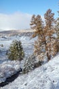 Altai under snow Royalty Free Stock Photo