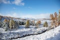 Altai under snow Royalty Free Stock Photo