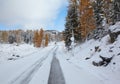 Altai under snow Royalty Free Stock Photo