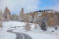 Altai under snow Royalty Free Stock Photo