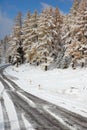 Altai under snow Royalty Free Stock Photo