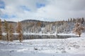 Altai under snow Royalty Free Stock Photo