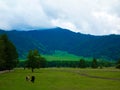 Altaian mountains and fields Royalty Free Stock Photo