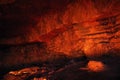 ALTAMIRA, CANTABRIA, SPAIN, JULY 29, 2018: Interior view of Altamira Museum Cave