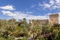Altamira castle and palm grove of elche declared world heritage Royalty Free Stock Photo