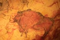 The Altamira Caves. Spanish rock art. It is the highest representation of cave painting in Spain