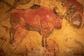 The Altamira Caves. Spanish rock art. It is the highest representation of cave painting in Spain Royalty Free Stock Photo