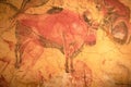 The Altamira Caves. Spanish rock art. It is the highest representation of cave painting in Spain