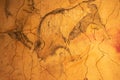 The Altamira Caves. Spanish rock art. It is the highest representation of cave painting in Spain