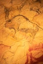 The Altamira Caves. Spanish rock art. It is the highest representation of cave painting in Spain