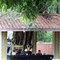 Altar Of Lord Ganesh Under A Tree In A Temple Royalty Free Stock Photo