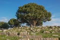 Altar of Zeus remains