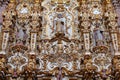 Altarpiece at virgen del carmen church in san luis potosi VI