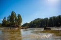 The Altay landscape with mountain river Katun and green rocks at spring time, Siberia, Altai Republic Royalty Free Stock Photo