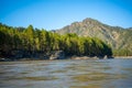 The Altay landscape with mountain river Katun and green rocks at spring time, Siberia, Altai Republic Royalty Free Stock Photo