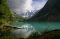 Altay, shavla lakes, travel rusland
