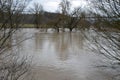 Flooding of the Neckar River near Altenburg