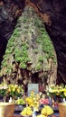 Alter at Perfume Pagoda Cave, Hanoi, Vietnam