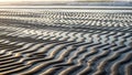 The alternating light and shadow emphasize the undulating forms in the sand Royalty Free Stock Photo