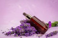 lavender herb and essential aromatherapy oil Royalty Free Stock Photo