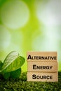 Alternative energy source, Written on wooden blocks, Bright background, Green leaves, The concept of using natural energy sources Royalty Free Stock Photo