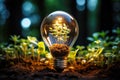 Alternative energy vision: eco plant inside illuminated bulb