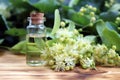 Linden essential oil bottle with fresh linden flowers on wooden