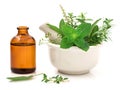 Alternative health care fresh herbal and Bottle of aromatherapy Royalty Free Stock Photo