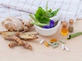 Alternative health care fresh herbal ,dry and herbal capsule wi Royalty Free Stock Photo