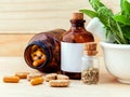 Alternative health care fresh herbal ,dry and herbal capsule wi Royalty Free Stock Photo