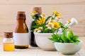 Alternative health care fresh herbal ,honey and wild flower with Royalty Free Stock Photo