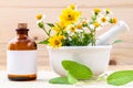 Alternative health care fresh herbal ,oil and wild flower with m Royalty Free Stock Photo