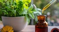 Alternative health medicine. Essential oil drop fall in a bottle, close up. Fresh herb in a mortar Royalty Free Stock Photo