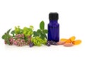 Alternative Herb Therapy Royalty Free Stock Photo