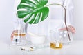 Alternative herbal medicine laboratory, Mortar with healing botanical herbs, Natural organic botany and scientific glassware Royalty Free Stock Photo