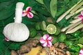 Alternative Indian medicine ayurveda herbal medicine