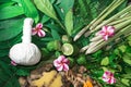 Alternative Indian medicine ayurveda herbal medicine