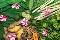 Alternative Indian medicine ayurveda herbal medicine