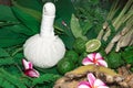 Alternative Indian medicine ayurveda herbal medicine