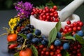 Alternative medicine with berries