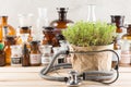 Alternative medicine concept medicine in bottles, medicinal herbs and stethoscope on a wooden table Royalty Free Stock Photo