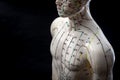 Alternative medicine and east asian healing methods concept with acupuncture dummy model with copy space. Acupuncture is the