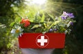 ALTERNATIVE MEDICINE - Fresh herbs in first aid kit Royalty Free Stock Photo