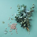 Alternative medicine - green eucalyptus leaves and pills on green background. Detox and anti parasite cleanse concept Royalty Free Stock Photo