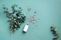 Alternative medicine - green eucalyptus leaves and pills on green background. Detox and anti parasite cleanse concept Royalty Free Stock Photo