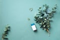 Alternative medicine - green eucalyptus leaves and pills on green background. Detox and anti parasite cleanse concept Royalty Free Stock Photo