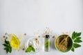 Alternative medicine, herbal extract: oil, white essence, stirring. Dry medicinal herbs, pills Royalty Free Stock Photo